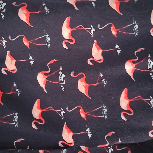 The Limited Pants - Stretch ponte ankle pant with a flamingo print!